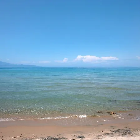 Vorrisi Daire *